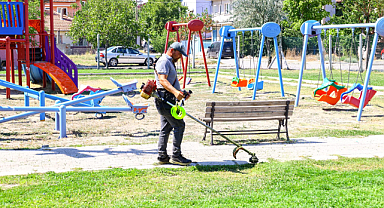 Uşak’ta Çocuk Parkları ve Refüjlerde Çim Biçme Çalışmaları Sürüyor