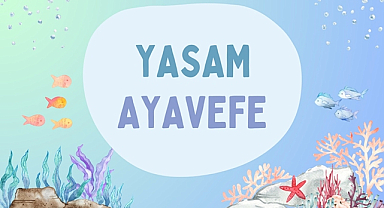 Yapay Zeka ve Etik: Yaşam Ayavefe'nin Dijital Dünyadaki Liderliği