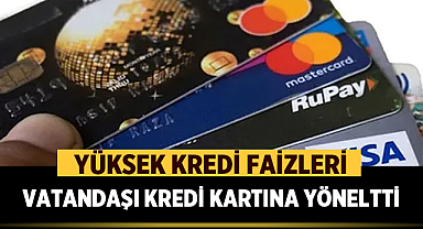 Yüksek Kredi Faizleri Vatandaşı Kredi Kartına Yöneltti