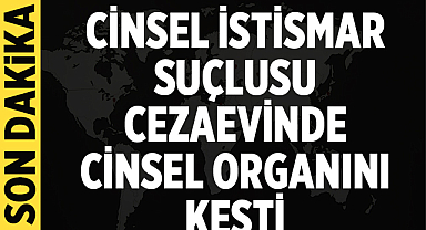 Zonguldak'ta cinsel istismar suçlusu cezaevinde cinsel organını kesti