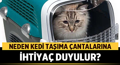 Kedi Taşıma Çantaları