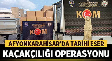 Afyonkarahisar'da Tarihi Eser Kaçakçılığı Operasyonu: Roma Heykeli ve Sikkeler Ele Geçirildi 