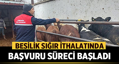 Afyonkarahisar'da Besilik Sığır İthalatında Başvuru Süreci Başladı