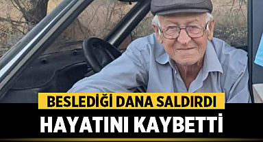 Burdur'da Dana Saldırısı: 66 Yaşındaki Adam Hayatını Kaybetti!