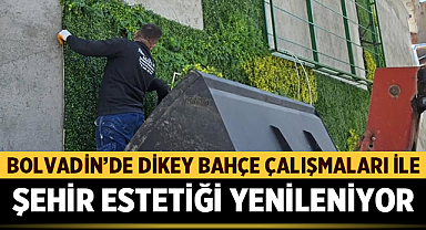 Bolvadin’de Dikey Bahçe Çalışmaları İle Şehir Estetiği Yenileniyor