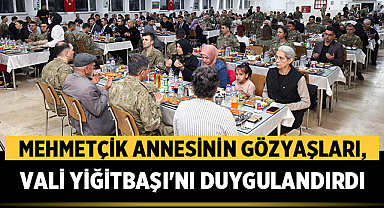 Mehmetçik Annesinin Gözyaşları, Vali Yiğitbaşı'nı Duygulandırdı
