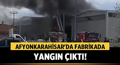 Afyonkarahisar'da fabrikada yangın çıktı: İtfaiye 1 saat içerisinde söndürmeyi başardı