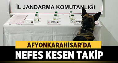 Afyonkarahisar'da Nefes Kesen Takip: Aracın Zulasından Kilolarca Bonzai ve Servet Çıktı!
