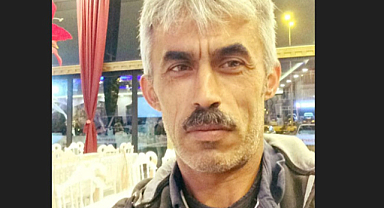 Ağaç kesimi yaparken başına ağaç parçası düştü: Hayatını kaybetti