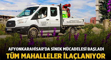 Afyonkarahisar'da Sinek Mücadelesi Başladı: Tüm Mahalleler İlaçlanıyor