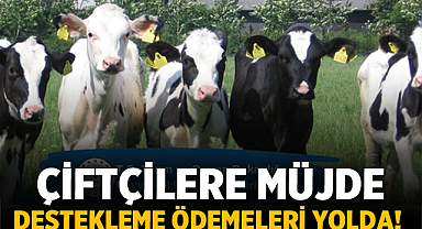 Çiftçilere Müjde: Destekleme Ödemeleri Yolda!