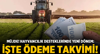 Müjde! Hayvancılık Desteklerinde Yeni Dönem: İşte Ödeme Takvimi!
