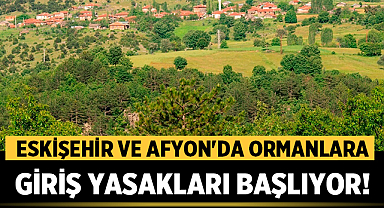 Orman Yangınları İçin Kritik Önlem: Eskişehir ve Afyon'da Ormanlara Giriş Yasakları Başlıyor!