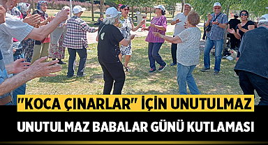 Odunpazarı Belediyesi'nden