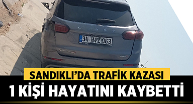 Sandıklı'da Trafik Kazası: 1 Ölü, 3 Yaralı