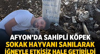 Afyon’da Sahipli Köpeğin Zehirli İğneyle Öldüğü Öne Sürüldü