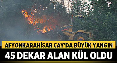 Afyonkarahisar Çay'da Büyük Yangın: 45 Dekar Alan Kül Oldu