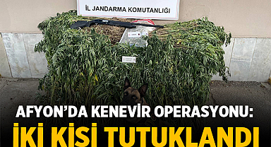Afyonkarahisar’da Kenevir Operasyonu: İki Kişi Tutuklandı