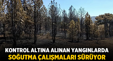 Afyonkarahisar’da Kontrol Altına Alınan Yangınlarda Soğutma Çalışmaları Sürüyor