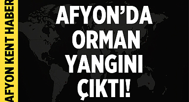 Afyonkarahisar'da Orman Yangını Çıktı!