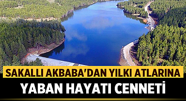 Akdağ Tabiat Parkı: Sakallı Akbaba'dan Yılkı Atlarına Yaban Hayatı Cenneti