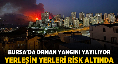 Bursa'da Orman Yangını Yayılıyor: Yerleşim Yerleri Risk Altında