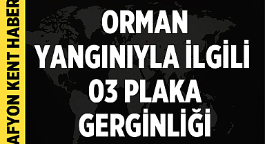 Bursa Harmancık’ta 03 Plaka Gerginliği: Yangın Sonrası Gözaltı ve Sabotaj Şüphesi