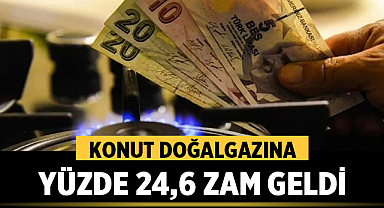 Konut Doğalgazına Yüzde 24,6 Zam Geldi