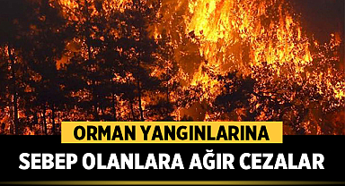 OGM Uyardı: Orman Yangınlarına Sebep Olanlara Ağır Cezalar