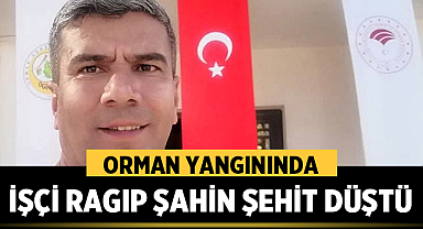Orman Yangınında Ragıp Şahin Şehit Düştü
