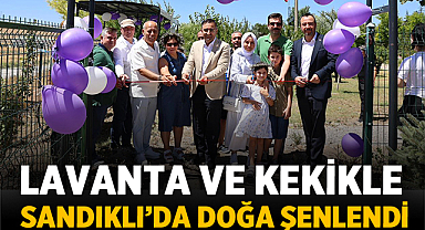 Sandıklı Lavanta ve Kekik Bahçesinde Hasat Coşkusu Yaşandı