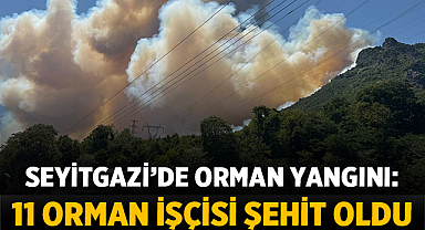 Seyitgazi’de Orman Yangınında Acı Kayıp: 11 Orman Emekçisi Şehit Oldu