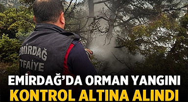 Son Dakika: Emirdağ'da Yıldırım Düşmesiyle Çıkan Orman Yangını Kontrol Altına Alındı