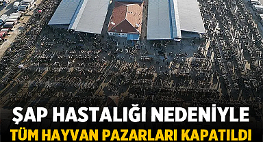Tüm Hayvan Pazarları Kapatıldı: Şap Hastalığı Nedeniyle Türkiye Geneli Acil Önlem