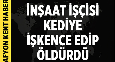 Başakşehir'de Vahşet: İnşaat İşçisi Kediye İşkence Edip Öldürdü