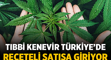 Eczanelerde Tıbbi Kenevir Satışı: Keneviri Hangi Hastalar Kullanacak?