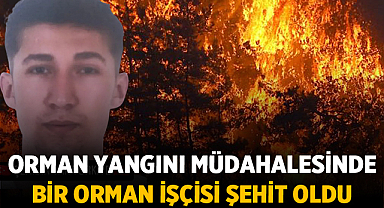 Osmaniye Hasanbeyli Orman Yangını Müdahalesinde Bir Orman İşçisi Şehit Oldu