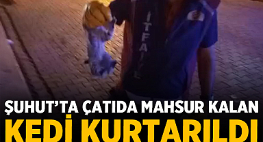 Şuhut'ta Çatıda Mahsur Kalan Kedi Kurtarıldı