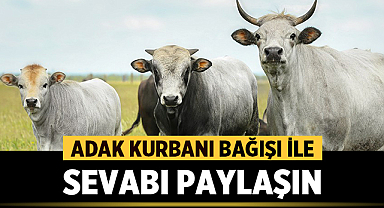 Adak Kurbanı Bağışı ile Sevabı Paylaşın