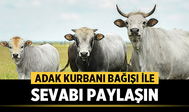 Adak Kurbanı Bağışı ile Sevabı Paylaşın