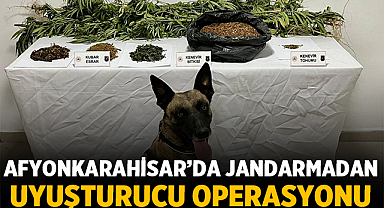 Afyonkarahisar’da Jandarmadan Uyuşturucu Operasyonu: 1 Kişi Tutuklandı