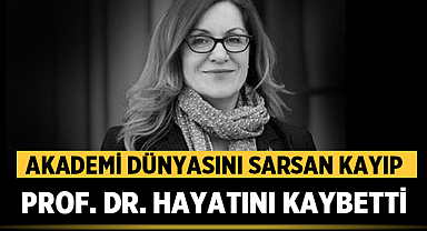Mimar Sinan Üniversitesi Rektörü Hayatını Kaybetti