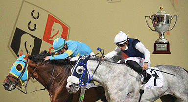 At Yarışı Sadece Bir Spor Değil, Bir Kültür: TJK'nın Mirası