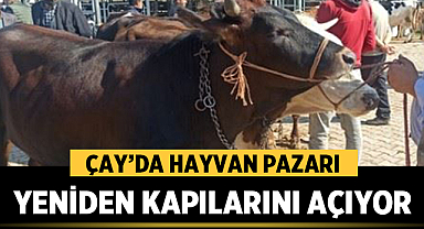 Çay’da Hayvan Pazarı Yeniden Kapılarını Açıyor