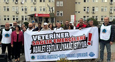 Efe: Veteriner sağlık emekçileri zorluklarla dolu bir süreçte mücadele ediyor