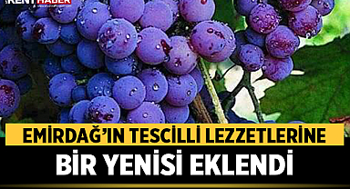 Emirdağ'ın Tescilli Lezzetlerine Bir Yenisi Eklendi: Karacalar Üzümü Coğrafi İşaret Aldı