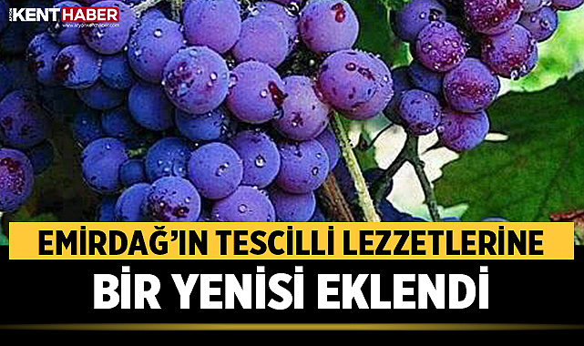 Emirdağ'ın Tescilli Lezzetlerine Bir Yenisi Eklendi: Karacalar Üzümü Coğrafi İşaret Aldı