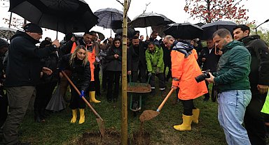 İstanbul'da tutuklu belediye başkanları ve bürokratlar için fidanlar dikildi
