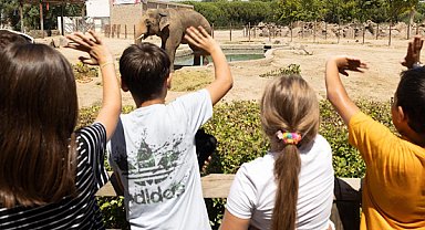 İzmir Doğal Yaşam Parkı’na ara tatilde ziyaretçi akını