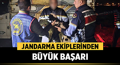 JASAT'tan Sandıklı'da Hayvan Hırsızlığı Operasyonu: 4 Tutuklama